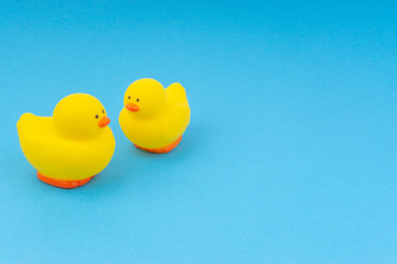 Yellow rubber duck on blue background. Selective focus and copy space concept