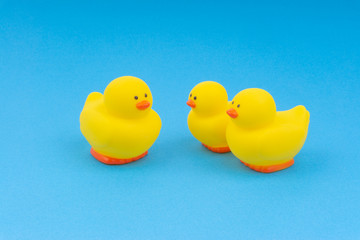 Yellow rubber duck on blue background. Selective focus and copy space concept