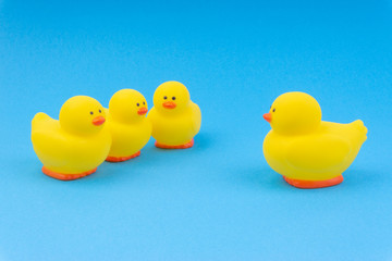 Yellow rubber duck on blue background. Selective focus and copy space concept