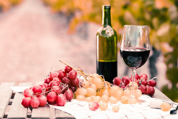 still life with glass of red wine and grapes