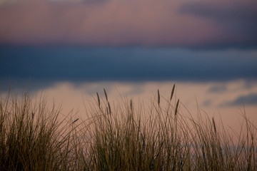 Sand Dunes at Sunset