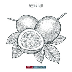 Hand drawn passion fruit isolated. Template for your design works. Engraved style vector illustration.