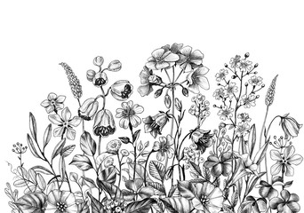 Hand Drawn Wild Plants and Flowers