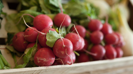 radish in wicker baskets on the counter of market