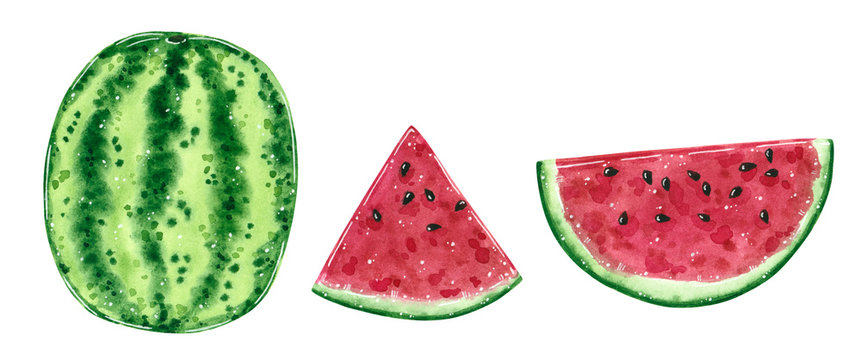 Watermelon fruit and slices set. Hand drawn watercolor illustration isolated on white.