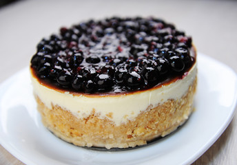 Whole blueberry cheesecake on a white plate side view