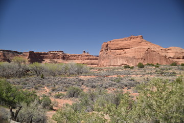Fototapeta premium Canyonlands National Park, Utah. U.S.A. Beautiful landscape, pinyon and juniper pine, and red sandstone mountains
