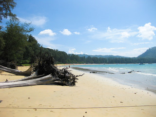 Fototapeta premium Driftwood against blue sky at Nai Yang beach near the airport of Phuket, Thailand