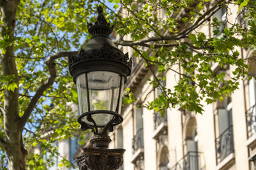 Fototapeta na wymiar Paris - Laterne / Straßenbeleuchtung