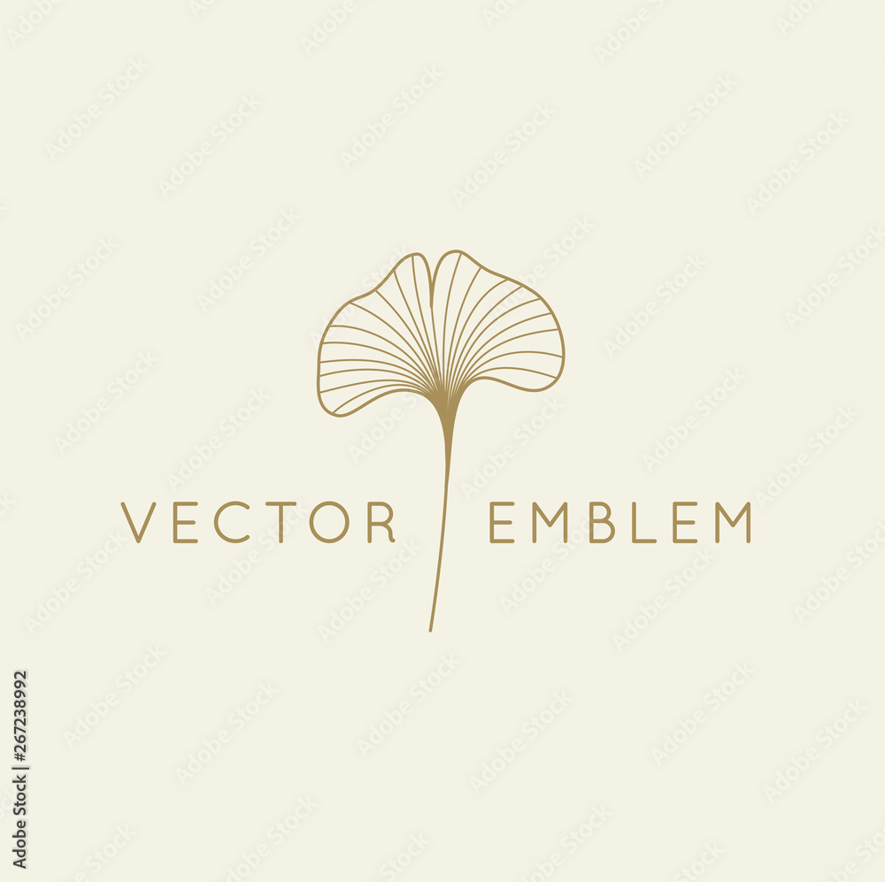 Poster Vector abstract logo design template in trendy linear minimal style - ginkgo biloba leaf