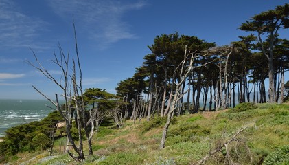 Lands End in Golden Gate Recreation Area in San Francisco from April 27, 2017, California USA