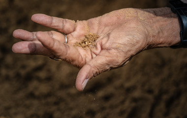 Thai people and farmers search for rice seeds at The Royal Ploughing Ceremony Day.In order to be a blessing in rice farming