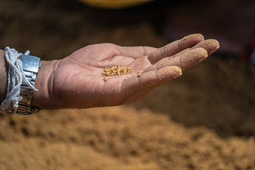 The Royal Ploughing Ceremony in Thailand is a religious Brahman and Hindu .ceremony dating back to Sukhothai Kingdom in Thailand to forecast the quality of the future rice harvest. .