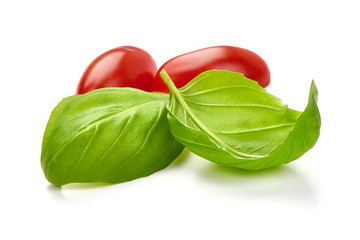 Fresh organic basil leaves, close-up, isolated on white background