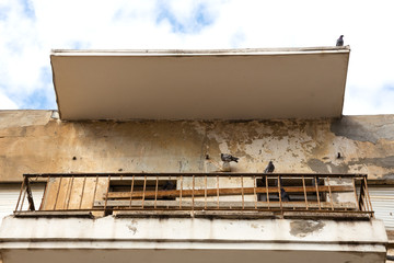 Pigeons relaxing on balcony and roof of old weathered house. Tel Aviv, Israel.
