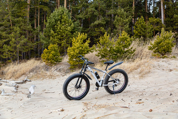 Bike, fatbike on the lake and forest