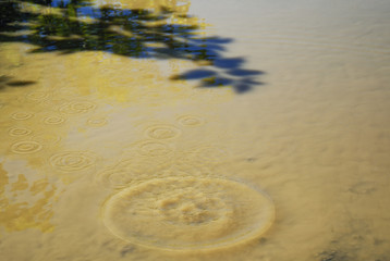 Obraz premium ripple