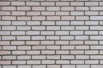 Brick wall with fresh cement