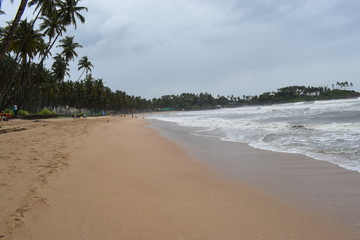 Sea Beach