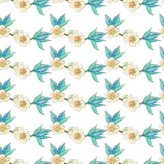 Seamless pattern with flowers and leaves isolated on white background.