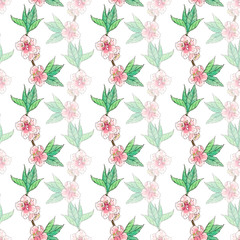 Seamless pattern with flowers and leaves isolated on white background.