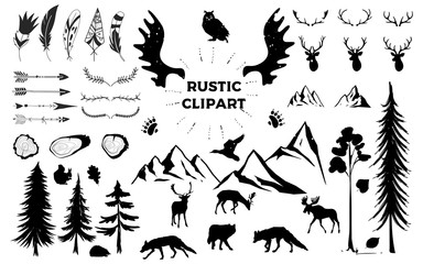 Hand drawn vintage antlers, feathers, arrows. decorative vector design set. Rustic animal, bundle, elk, deer, fox, bird. Hipster logo design element. vector tree rings - obrazy, fototapety, plakaty