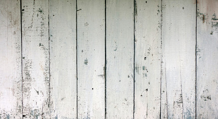 Wood wall. Natural pattern wood background