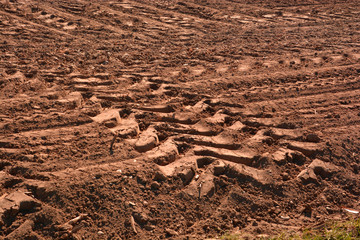 tire tracks of a tractor, deep wheel tracks in dried soil from a field after harvest