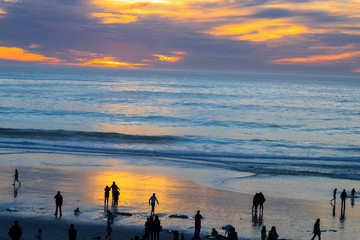 people on beach at sunset 