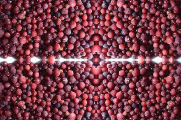 Food background, texture of assorted fresh berries