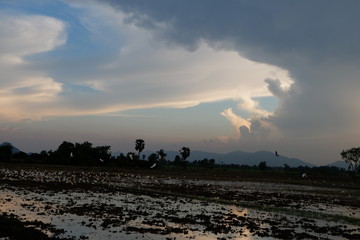 sky, sunset, landscape, sun, nature