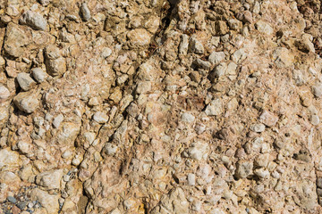brown rock surface in a sunny day