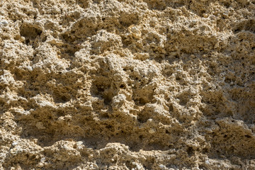 brown rock surface in a sunny day