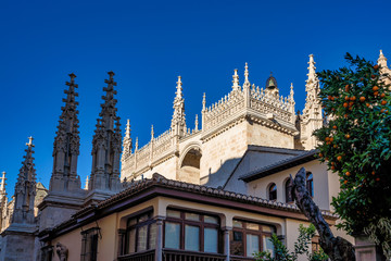 Cathedral of Incarnation in Granada city. Andalusia, Spain.