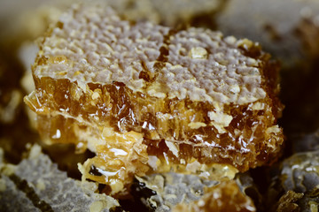 Honey and honeycomb close up