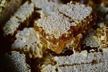 Honey and honeycomb close up