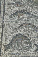 Fototapeta na wymiar Roman Mosaic floor with images of fish