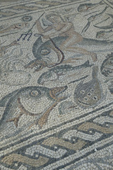 Roman Mosaic floor with images of fish