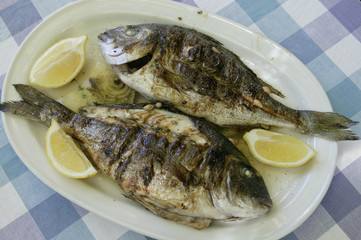 grilled branzino from the mediterranean