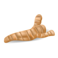 Fresh ginger root icon. Realistic illustration of fresh ginger root vector icon for web design isolated on white background