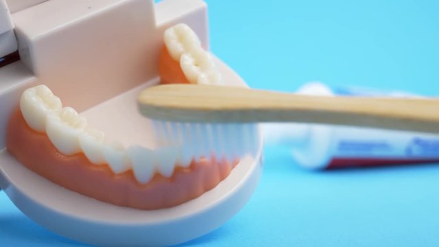 Dentist Teaching How to Brush Teeth by White Bamboo Toothbrush on Blue Background with Toothpaste. Concept Dental Hygiene