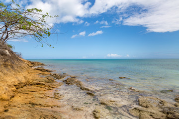 A rugged coastal landscape on the Caribbean island of Antigua