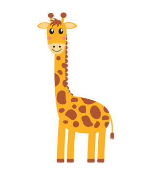 Vector illustration of cute giraffe cartoon on white background