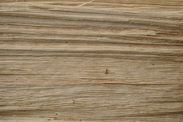 Wood breakthrough texture. Natural material texture or background.
