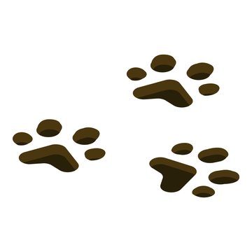 Wild animal foot stamp icon. Isometric of wild animal foot stamp vector icon for web design isolated on white background