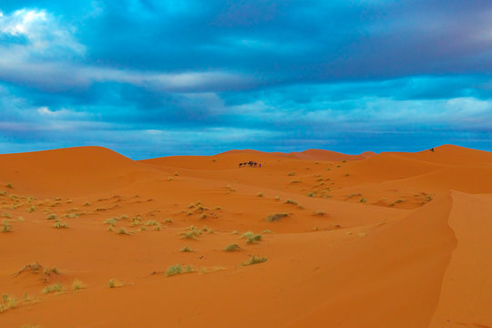Beautiful sand dunes in the Sahara desert. © Natallia