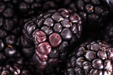 Blackberry berry close-up.