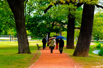 couple walking in the park