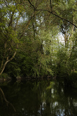 Fototapeta na wymiar Waterperry River