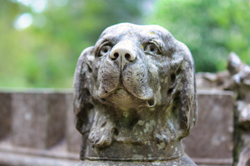 Fototapeta na wymiar portrait of an dog statue